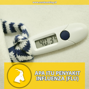 Apa itu Penyakit Flu
